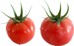 Tomato PNG-12535